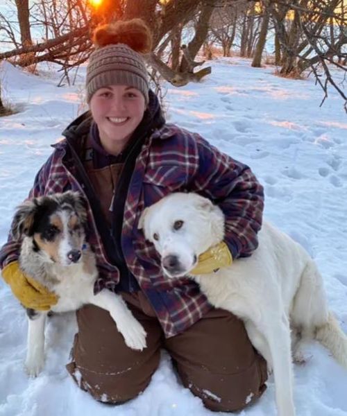 girl with two dogs in snow